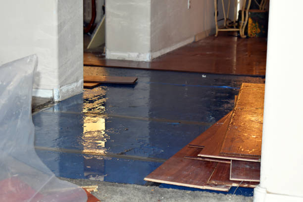 Professional Emergency Water Damage Restoration technician working in Langley, WA
